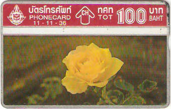 THA-079 - Rosa - 3