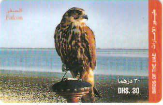UAE-P-003C - Ave - Falcão