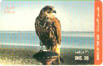 UAE-P-003A - Ave - Falcão