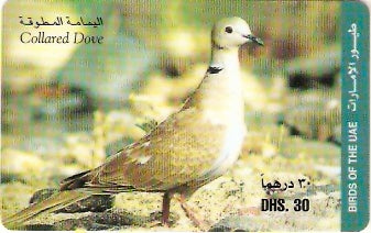 UAE-P-008C - Ave - Pomba
