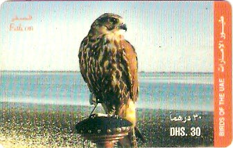 UAE-P-003B - Ave - Falcão
