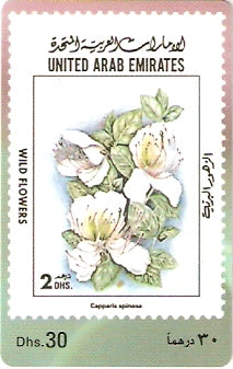 UAE-P-176 - Flores Selvagens
