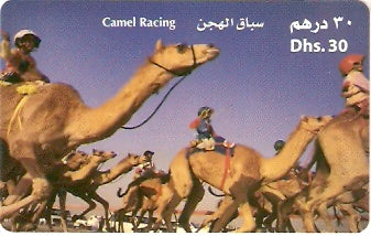 UAE-P-304 - Corrida de Camelos