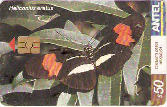 URU-C-292a - Borboleta