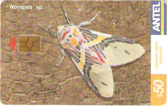 URU-C-390a - Borboleta