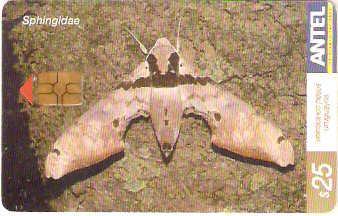 URU-C-391a - Borboleta