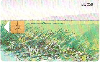 VEN-009Bb - Paisagem - 1