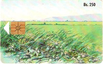 VEN-009Ab - Paisagem - 1