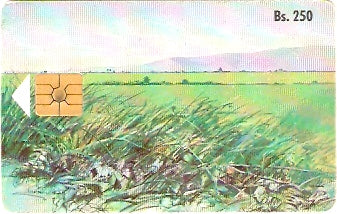 VEN-009C - Paisagem - 1