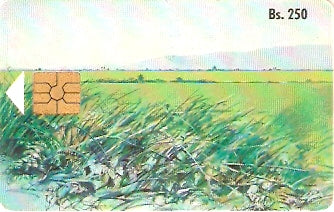 VEN-009Cb - Paisagem - 1