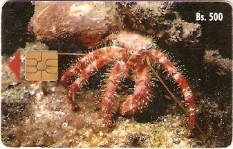 VEN-030Ba - Caranguejo Ladrão