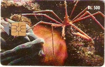 VEN-028B - Caranguejo Flexa