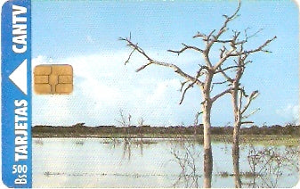 VEN-041 - Aguaro Cariquito