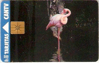 VEN-042-2 - Flamingo