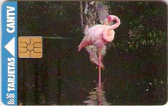 VEN-042-1a - Flamingo