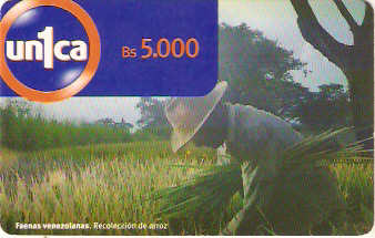 VEN-U-0018 - Colheita de Arroz