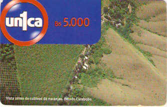 VEN-U-0044 - Vista Aérea dos Laranjais