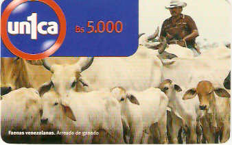 VEN-U-0047 - Tocando o Gado
