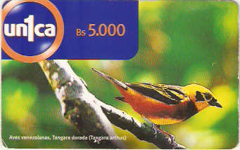 VEN-U-0050 - Tangara Dorada