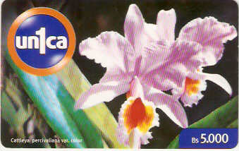 VEN-U-0066 - Orquídea - 1