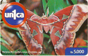 VEN-U-0075 - Borboleta - 2