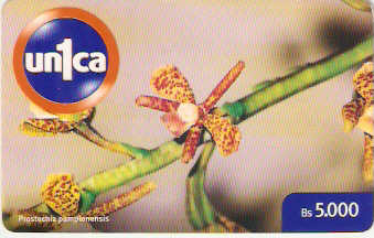 VEN-U-0085 - Prostechia Pamplonensis