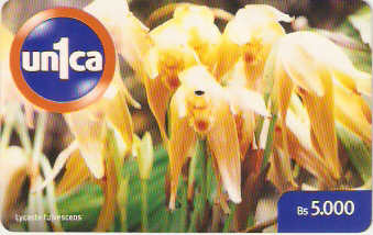 VEN-U-0087 - Lycaste Fulvescens