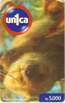 VEN-U-0204 - Bicho Preguiça