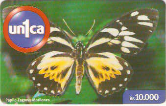 VEN-U-0220 - Borboleta - 3