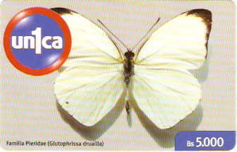 VEN-U-0221 - Borboleta - 4 - 5.000