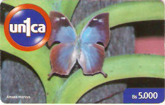 VEN-U-0222 - Borboleta - 5