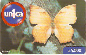 VEN-U-0223 - Borboleta - 6