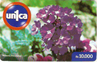 VEN-U-0224 - Verbena - 10.000