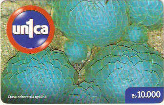 VEN-U-0234 - Crasa Echeverria Nyalina - 10.000