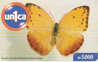 VEN-U-0237 - Borboleta - 8