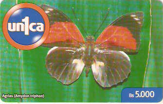 VEN-U-0238 - Borboleta - 9