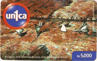 VEN-U-0300 - Borboletas na Quebrada