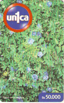 VEN-U-0373 - Flores da Primavera