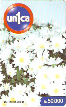 VEN-U-0410 - Margaridas