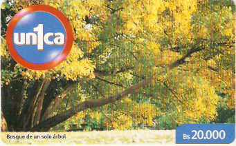 VEN-U-0457 - Bosque