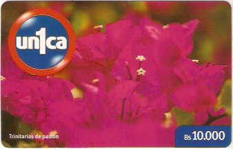 VEN-U-0477 - Trinitarias de Pasión