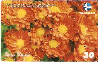 CE-731 - Margarida