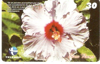 CE-742 - Papoula
