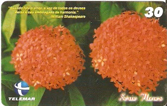 CE-744 - Ixora