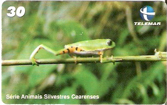 CE-750 - Perereca Verde