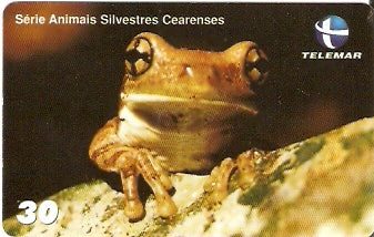 CE-770 - Rã-de-Bananeira