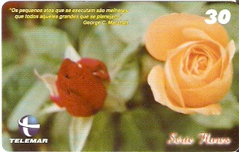 CE-775 - Rosas