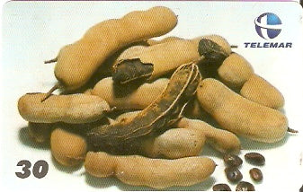 PI-071 - Tamarindo