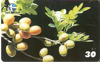 PI-074 - Siriguela