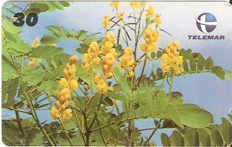 PI-123 - Plantas do Sertão